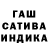 ГАШ VHQ Rufa Jay