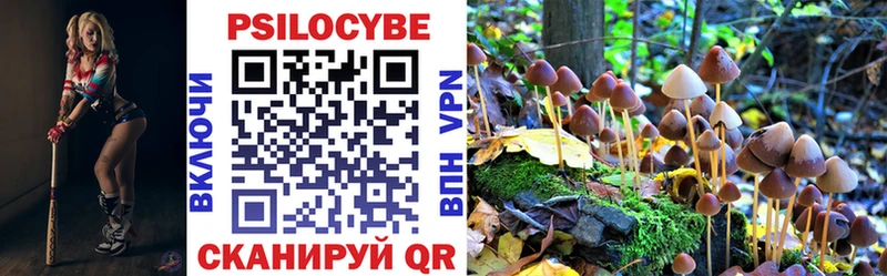 Псилоцибиновые грибы прущие грибы  Гороховец 